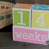 Spring Block Set - Thumbnail 1