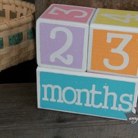 Spring Block Set - Thumbnail 2