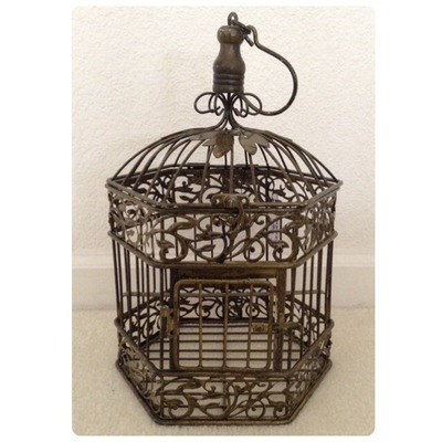 Bird cage