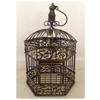 Bird Cage