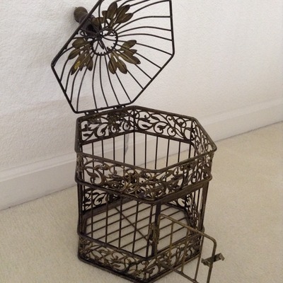 Bird cage