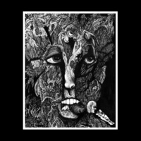 Hum Of The Druid & Fire In The Head 12" - Thumbnail 1