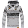 Striped Hooded Long Sleeve Cotton Pullover Mens Hoodies 012-140701005-2