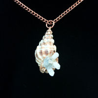 Crystal Shell necklace ♥ - Thumbnail 1