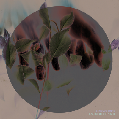 BRUSQUE TWINS - A VOICE IN THE NIGHT EP CD
