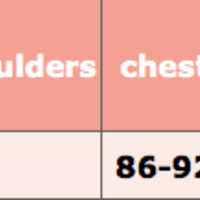 Chiffon Lantern Sleeve Dress - Thumbnail 1