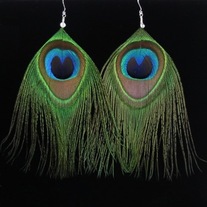 Peacock Feather & Sterling Silver Earrings