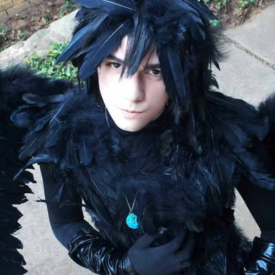 Howls moving castle (howl) 8x11 print