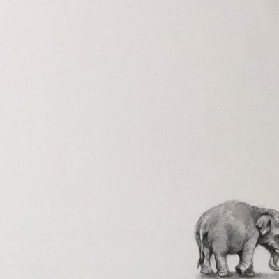 Tiny tiny elephant print
