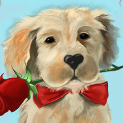 Valentine puppy