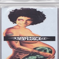 Hummingbird of Death/Transient 3" - Thumbnail 1