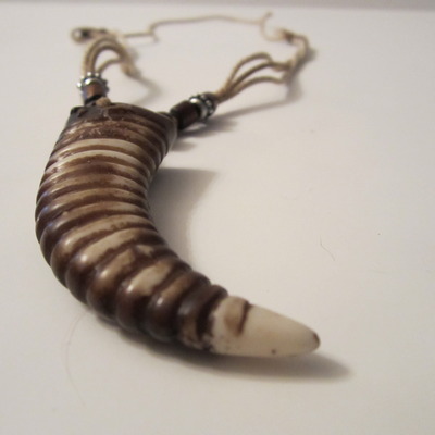 New the t-rex tooth necklace