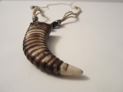New the t-rex tooth necklace