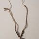 NEW The T-Rex Tooth Necklace-1