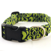 Dog Collar - Thumbnail 1