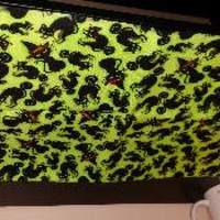 Spread Cloths - Thumbnail 2