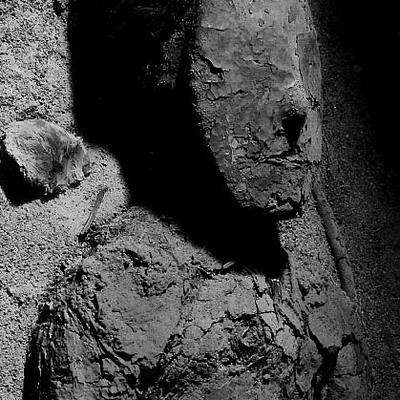 V/a 'night science v' 'zine + cd - Thumbnail 5