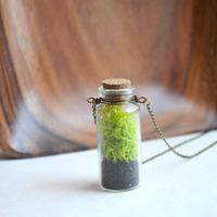 MOSS Necklace, Large Moss Necklace, Nature Lover, Vial Necklace, Glass Vial, Botanical Jewelry - Thumbnail 4