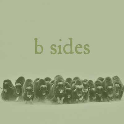 Rgf-046 4-way split "b-sides"