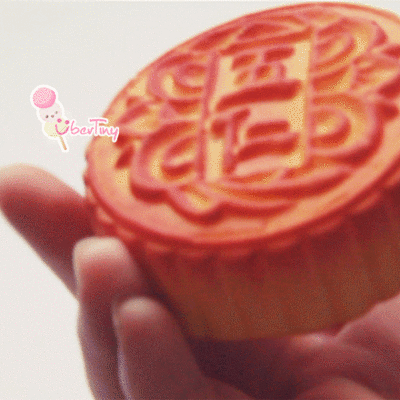 Ultra squishy moon cake