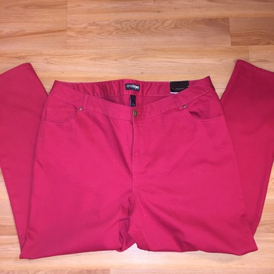 Lane bryant jeans sz 24 new with tags!