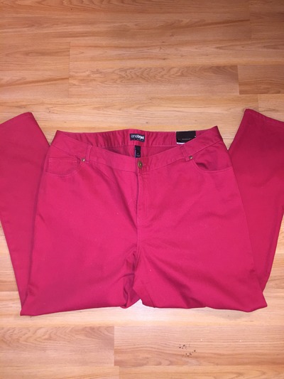Lane Bryant Jeans Sz 24 NEW WITH TAGS!