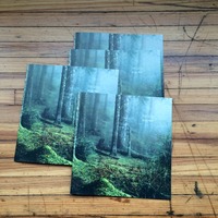 The Gorge, Nicole Mark - Thumbnail 3