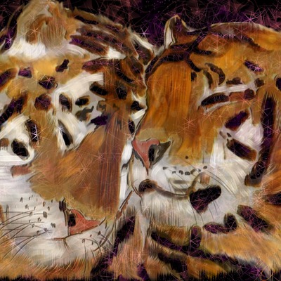 Tiger love 8x10 print