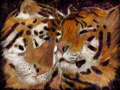 Tiger love 8x10 print