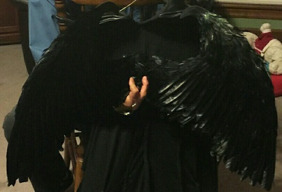 Maleficent Black Feather Costume Wings-Festival-Cosplay