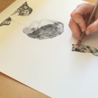 Hope 2015 Print - B&W - Thumbnail 2