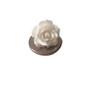 White Roses-1