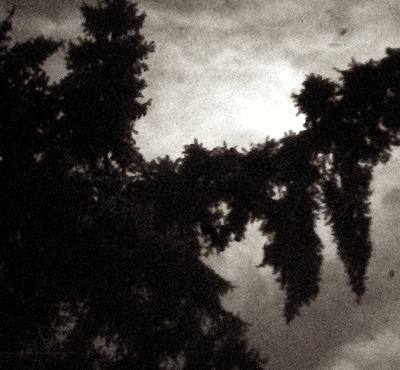 READ THIS  FIRST,SHIPPING INFO