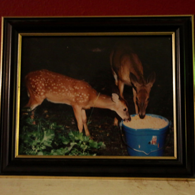 Always wanted war "cream" 10"