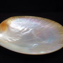 Hand Carved Mother of Pearl, Extra Large Rare Philippines Gold Lip Oyster Shell, great for decoration and to entertain, Caviar Serving Shell