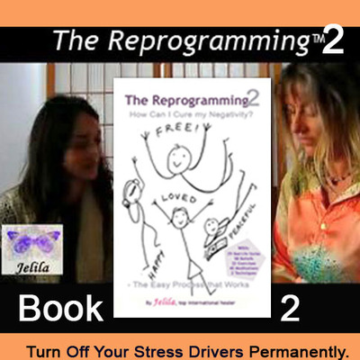 Book - the reprogramming 2