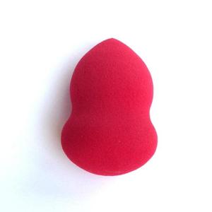 Complexion Perfexion Beauty Sponge