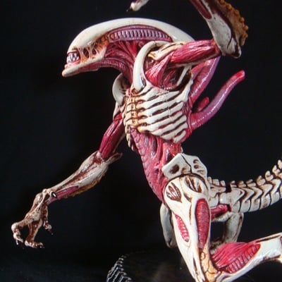 Custom painted kenner warrior alien