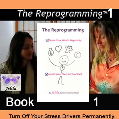 Book - the reprogramming 1