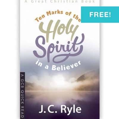 Ten marks of the holy spirit in a believer