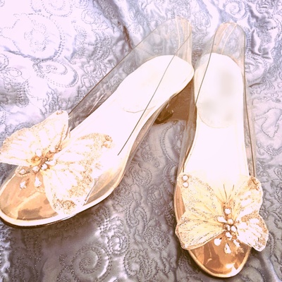 Cinderella's glass slippers, silver butterfly, adult size
