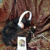 Birthdays - Birthdays Cassette + DL - Thumbnail 3