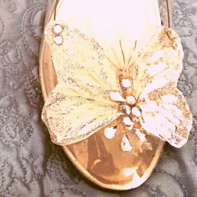 Butterfly shoe clips-cinderella