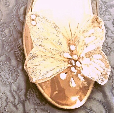 Butterfly shoe clips-cinderella