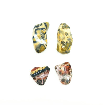 Leopard jasper stud earrings