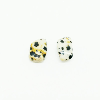 Dalmatian jasper earrings crystal mineral studs