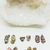Leopard Jasper Stud Earrings - Thumbnail 1