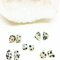 Dalmatian Jasper Earrings Crystal Mineral Studs - Thumbnail 1