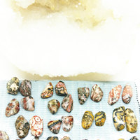 Leopard Jasper Stud Earrings - Thumbnail 3