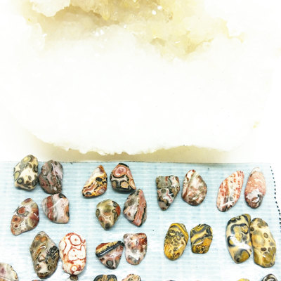 Leopard jasper stud earrings